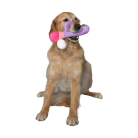 3cad3a708e226daead325b72d1328dae.png