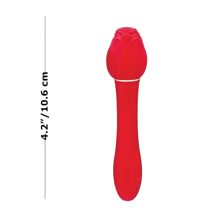 499c65cebb0637088ff74ae4429075a6.png