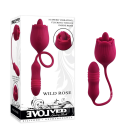 d52781f586b87d0609be621cdb5eeb8b.png