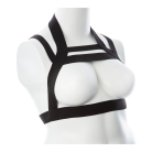 a3d89b1b6b5f7cf5371f57e4c77bba71.png